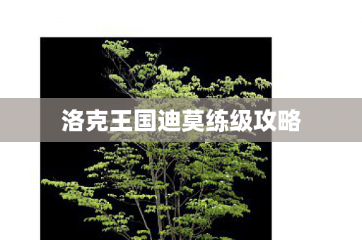 洛克王国迪莫练级攻略