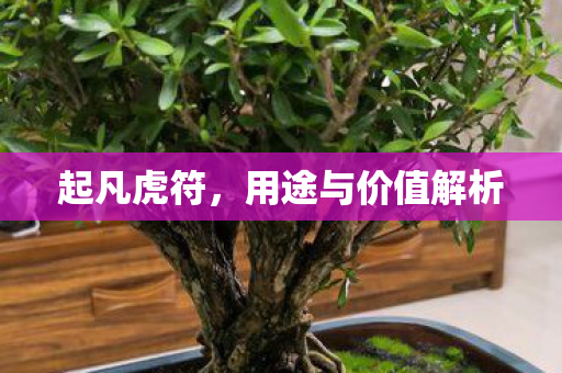 起凡虎符，用途与价值解析