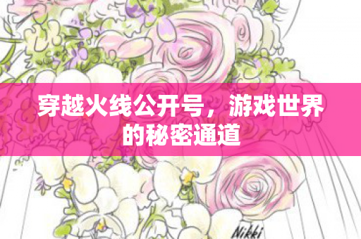 穿越火线公开号，游戏世界的秘密通道