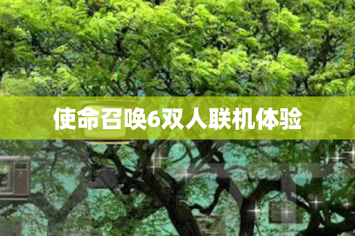 使命召唤6双人联机体验