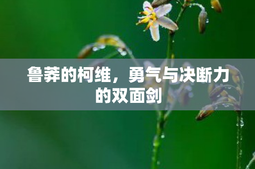 鲁莽的柯维，勇气与决断力的双面剑