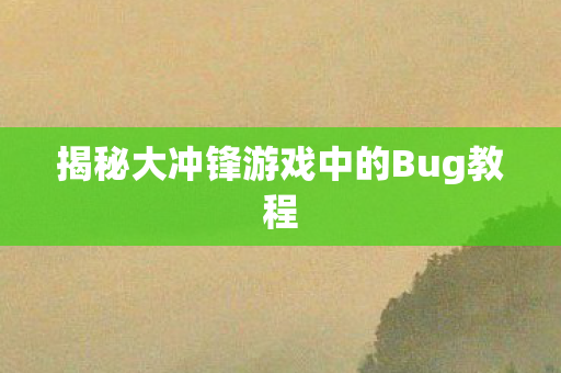 揭秘大冲锋游戏中的Bug教程