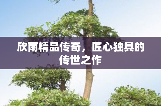欣雨精品传奇，匠心独具的传世之作