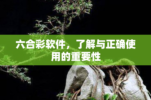 六合彩软件，了解与正确使用的重要性