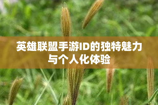英雄联盟手游ID的独特魅力与个人化体验