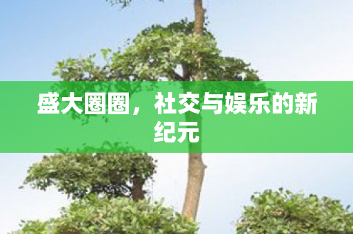 盛大圈圈，社交与娱乐的新纪元