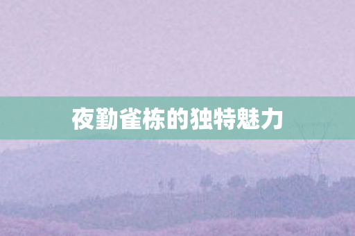 夜勤雀栋的独特魅力