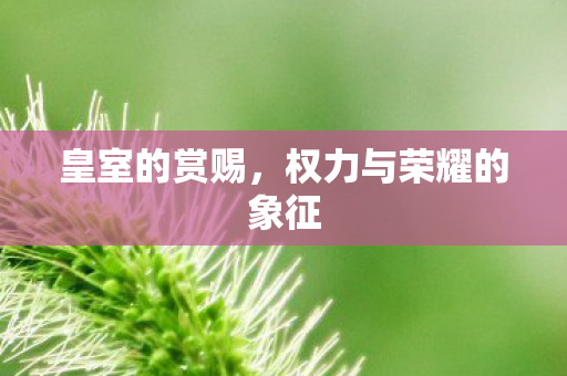 皇室的赏赐，权力与荣耀的象征