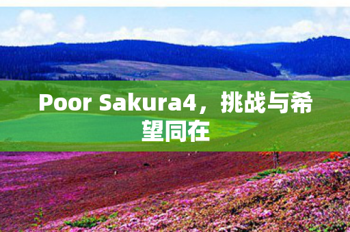 Poor Sakura4，挑战与希望同在