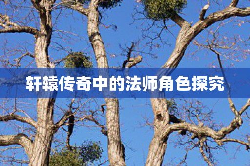 轩辕传奇中的法师角色探究