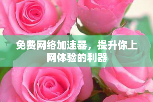 免费网络加速器,提升你上网体验的利器 免费网络加速器,提升你上网体验的利器
