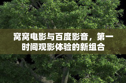 窝窝电影与百度影音，第一时间观影体验的新组合
