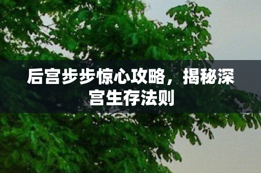 后宫步步惊心攻略，揭秘深宫生存法则