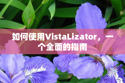 如何使用VistaLizator，一个全面的指南