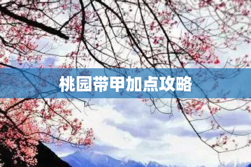 桃园带甲加点攻略