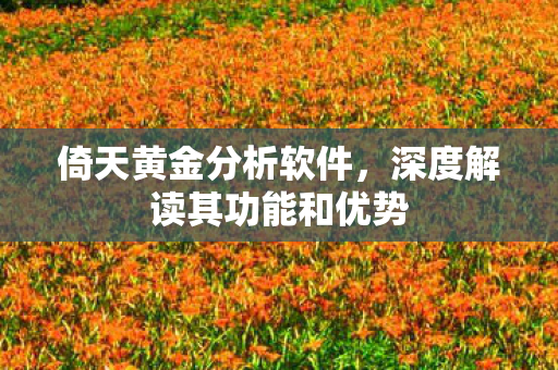 倚天黄金分析软件，深度解读其功能和优势