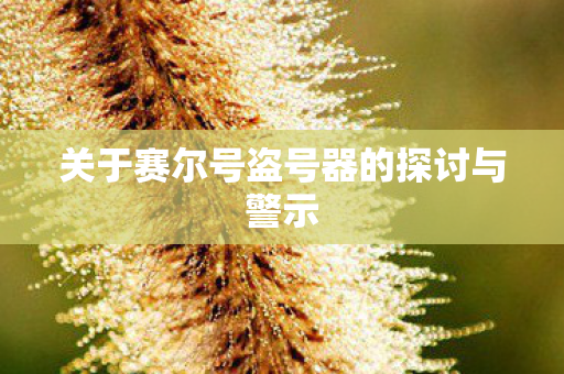 关于赛尔号盗号器的探讨与警示