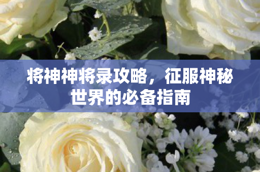 将神神将录攻略，征服神秘世界的必备指南