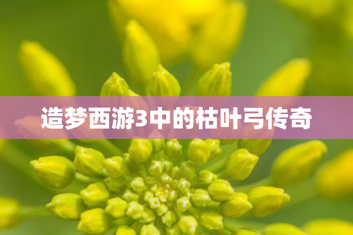 造梦西游3中的枯叶弓传奇