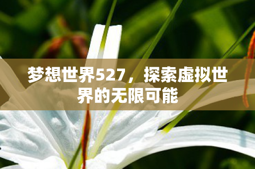 梦想世界527，探索虚拟世界的无限可能