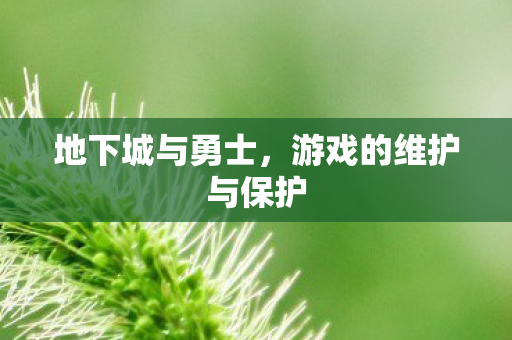 地下城与勇士，游戏的维护与保护
