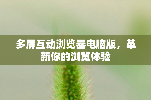 多屏互动浏览器电脑版，革新你的浏览体验