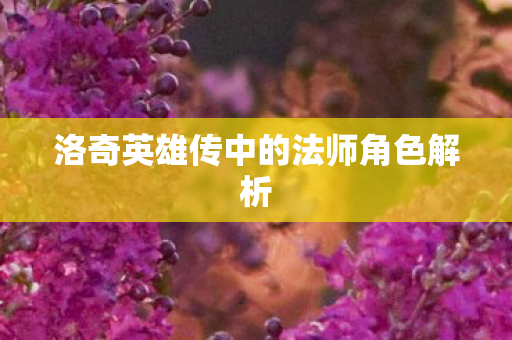 洛奇英雄传中的法师角色解析