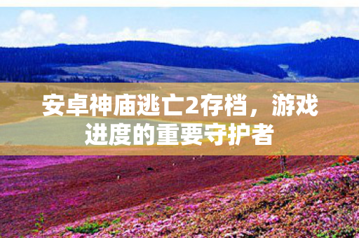 安卓神庙逃亡2存档，游戏进度的重要守护者