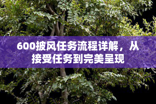 600披风任务流程详解,从接受任务到完美呈现 600披风任务流程详解,从接受任务到完美呈现