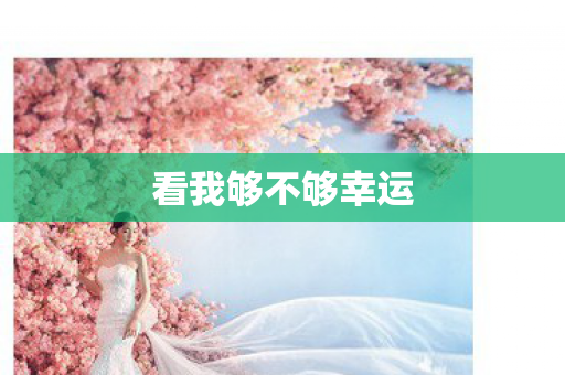 看我够不够幸运