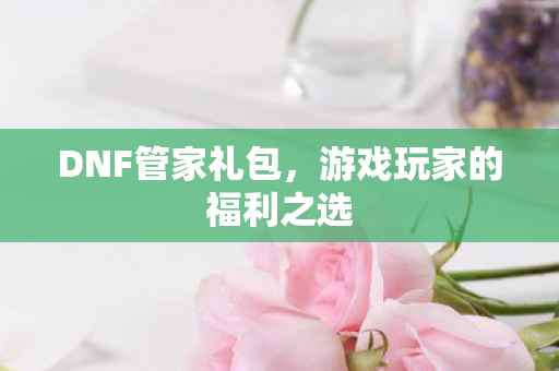 DNF管家礼包，游戏玩家的福利之选