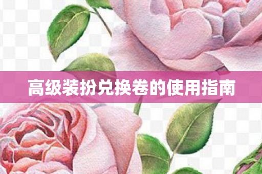 高级装扮兑换卷的使用指南