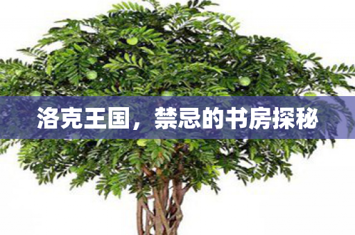 洛克王国，禁忌的书房探秘