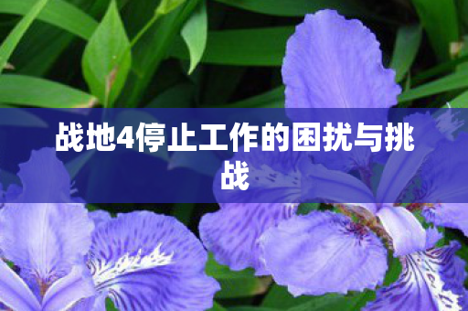 战地4停止工作的困扰与挑战