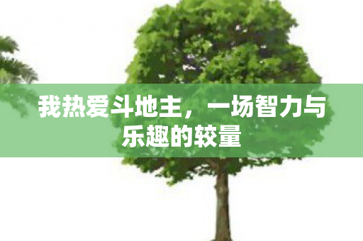 我热爱斗地主，一场智力与乐趣的较量