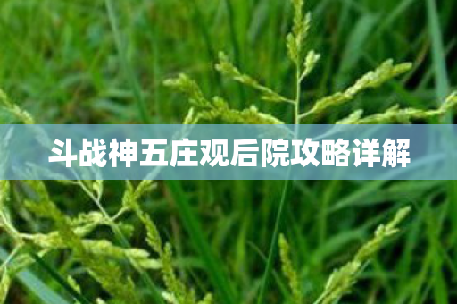 斗战神五庄观后院攻略详解 斗战神五庄观后院攻略详解