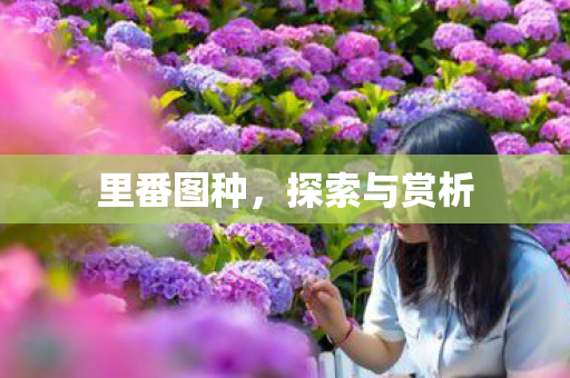 里番图种，探索与赏析