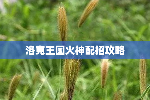 洛克王国火神配招攻略