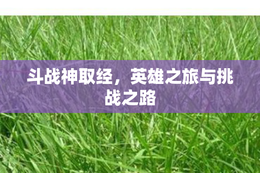 斗战神取经，英雄之旅与挑战之路