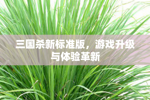 三国杀新标准版，游戏升级与体验革新