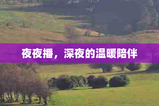 夜夜播,深夜的温暖陪伴 夜夜播,深夜的温暖陪伴
