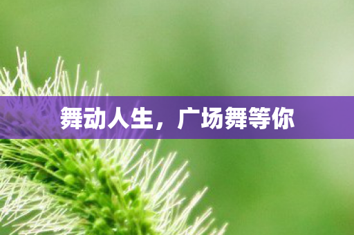 舞动人生，广场舞等你