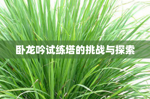 卧龙吟试练塔的挑战与探索