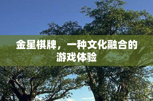金星棋牌,一种文化融合的游戏体验 金星棋牌,一种文化融合的游戏体验