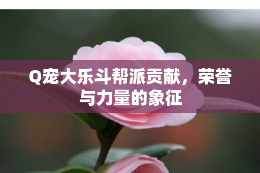 Q宠大乐斗帮派贡献，荣誉与力量的象征