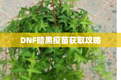 DNF暗黑疫苗获取攻略