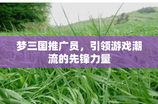 梦三国推广员，引领游戏潮流的先锋力量