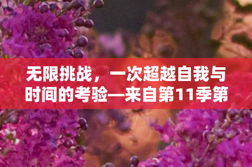 无限挑战，一次超越自我与时间的考验—来自第11季第10期的挑战之旅