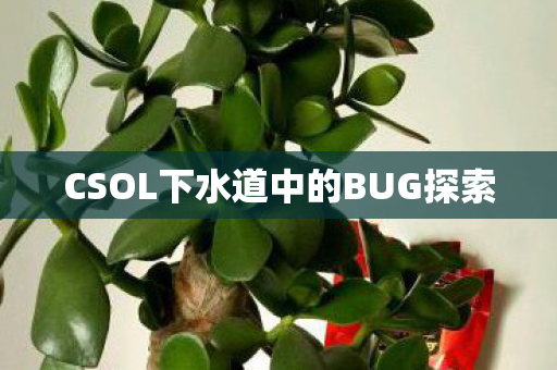 CSOL下水道中的BUG探索