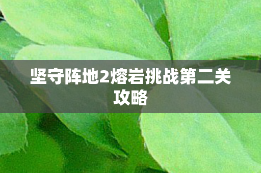 坚守阵地2熔岩挑战第二关攻略